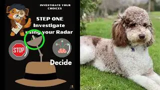 Coping Skills - Investigate Your Choices