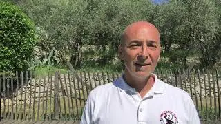 Qi Gong: les 8 pièces de soie mouvements 5 et 6