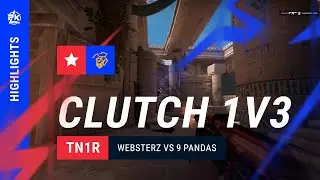 Websterz | Андрей 