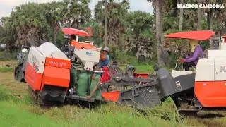 Best Ingenious Rice Harvesting Technology Agriculture Equipment | Powerful  Rice Cutting Machine