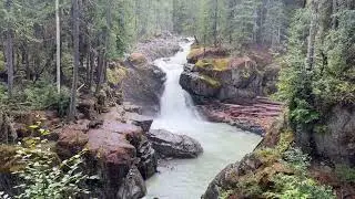 Hiking Silver Falls Loop Trail at Mount Rainier National Park