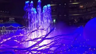Mesmerizing Flows