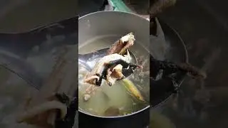 Snake soup #shorts