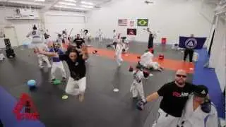 Harlem Shake (Redline Gracie Jiu-Jitsu Edition)