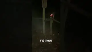 Fp3 Small 0,35 G BKS F3 Polenb&ouml;ller