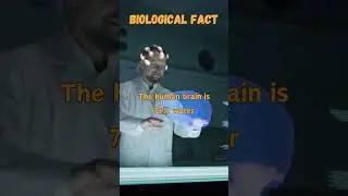 💧 Hydration Hack: Your Brain's 73% Secret Weapon! 🧠 #factsshorts  #shortsvideo #factshorts #facts