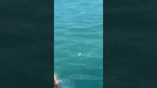 Kim Taehyung Diving and Shirtless 👀 #bts #RM #Jin #Suga #Jhope #Jimin #V #JK #army #thv