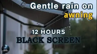 [Black Screen] Sleeping Under an Awning | Rain on Awning – No Thunder | Rain Sounds for Sleep
