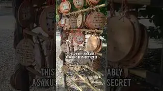 Asakusa's Best Kept Secret - Imado Shrine #japan #tokyo