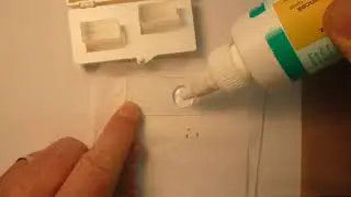 Insect Curation 7 making microscope slides
