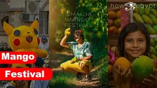 MANGO MANIA: Exploring Egypt's Crazy Mango Festival