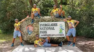 To Everglades National Park Day Trip | Miami Art District | 4K Wildlife & Adventure