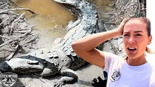 🙀A CROCODILE Encounter On Our Last Day Of SAILING
