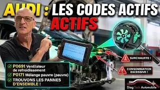 Audi P0691 ventilateur et P0171 mélange pauvre je vous explique tout