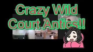 Crazy Wild Court Antics!