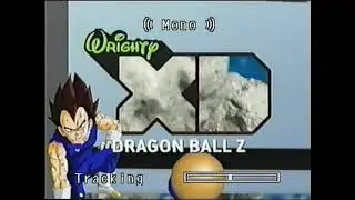 Wrighty XD - Dragon Ball Z WBRB and BTTS Bumpers (2011)