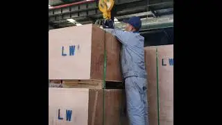 Seaworthy no fumigation plywood package of fume extraction machine