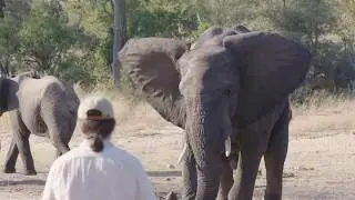 Wildlife Artist, John Banovich, On Art & Africa