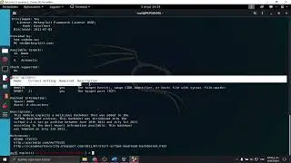 Seguridad lógica de vulnerabilidades y pruebas de penetración (Kali Linux/Metaspoitable)