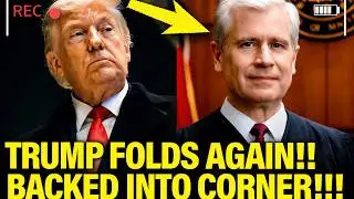 Trump RUNS SCARED in Minnesota after Chief Judge CORNERS HIM
