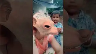 Lall Lall Lory ll #edit #funny #comedy #trending #viral #viralvideo #shortsfeeds #funnyshorts #sho