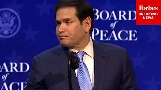 'A New Era': Marco Rubio Touts Board Of Peace Plan For Gaza At Davos Event