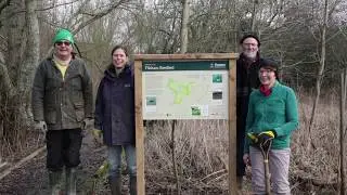 Filsham Reedbed