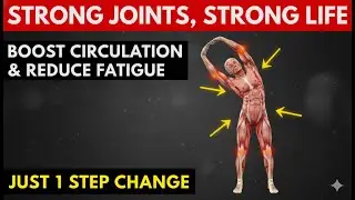 Full Body Stretch to Boost Circulation and Reduce Fatigue for Seniors