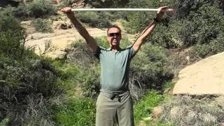 Health Wand 