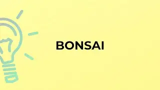 What is the meaning of the word BONSAI?