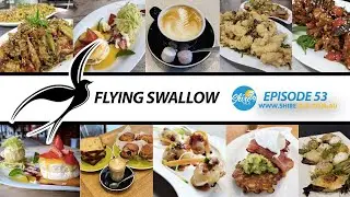 Flying Swallow - Episode 53 - Shire Talk TV