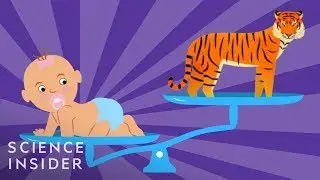 The Biggest Babies In The Animal Kingdom
