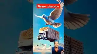 दादी का पेट नहीं बक्सा#FunnyVideo#GrandmaLove#IndianGrandma#FoodLove#ComedyVideo#FamilyFun#DesiHumo