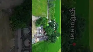 neelkamal song trendig#shorts #music #trending #new