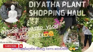 හැමදේම එකම තැනකින්!🌵🍅🥕🌽🍹Diyatha Uyana-BATHTHARAMULLAලාභෙට මල්/එළවළු/පළතුරු පැළ #trending #viral