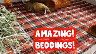 Kooltail Pee Pads Amazing Guinea Pig Bedding! | graciespiggies