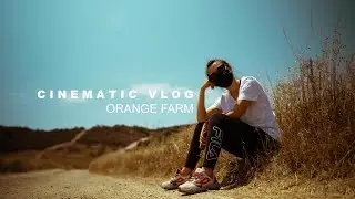 Orange Farm | Cinematic Vlog