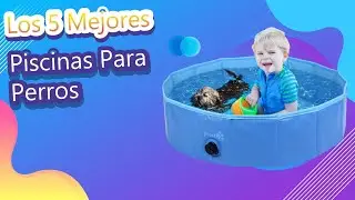 Los 5 Mejores Piscinas Para Perros