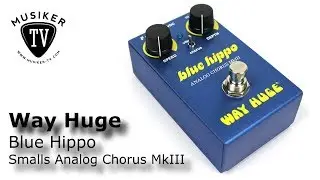 Way Huge Smalls Blue Hippo Analog Chorus MKIII - Review