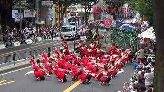 2017 どまつり　名古屋学生チーム『鯱』　大津通パレード　西　審査