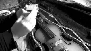 Violin - ASMR Sounds (Tapping, Cleaning, etc...)