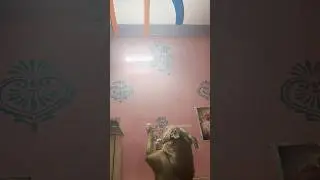 mt hero dog did superb job ❤️🫶#animallife #pitbull #like #subscribe #support