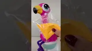 Funny toy Gotta Go Flamingo that poops! 💩 #shorts