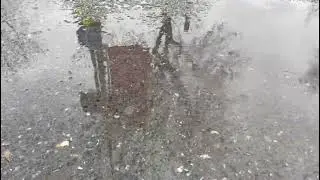 REAL! Heavy Rain Falling on Asphalt | Real Rain Sound for Relaxation & Sleep