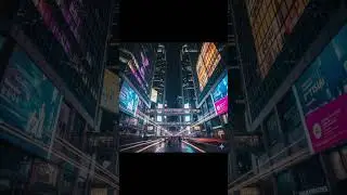 City Life 