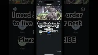 In search of a few SUBSCRIBERS! #nature #birdwatching #birds #birdwatcher