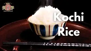 Red-Hot Now! A Close Look at Kochi&rsquo;s Award-Winning Rice, No.1 in Japan [Miraculous Gastronomy]