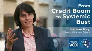 From Credit Boom to Systemic Bust