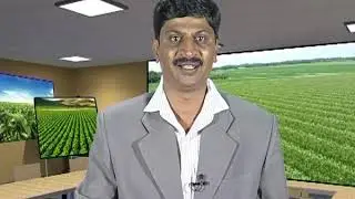 Introduction to crop modeling