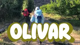 Escalando en OLIVAR  🧗🏻‍♀️ 🏔 ⎮Escalada deportiva ⎮Rancagua, Chile, VI región